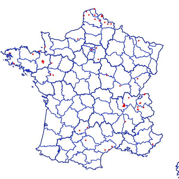 overview