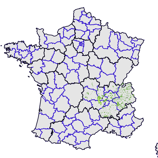 overview