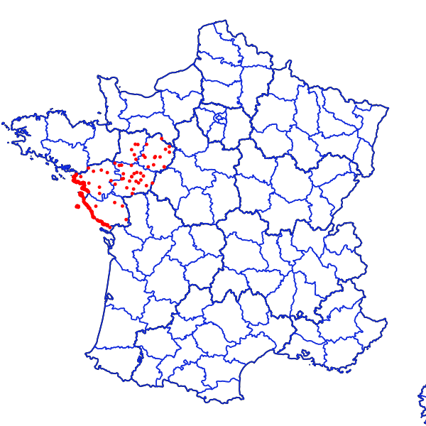 overview