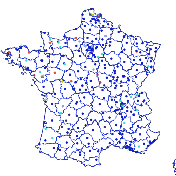 overview