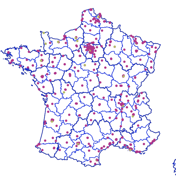 overview