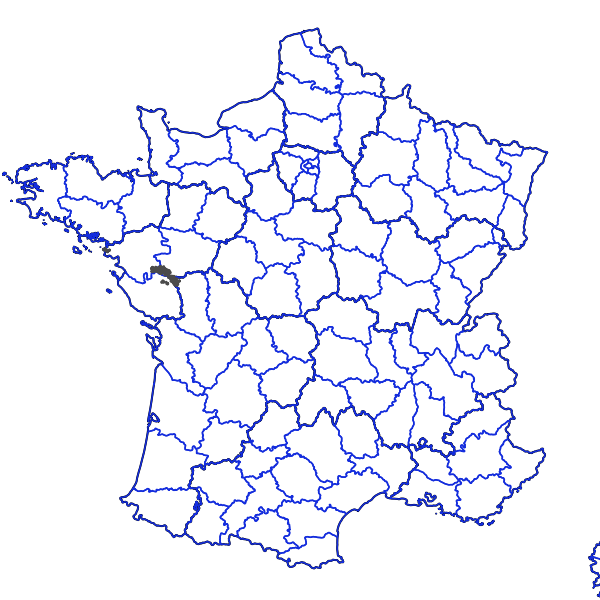 overview