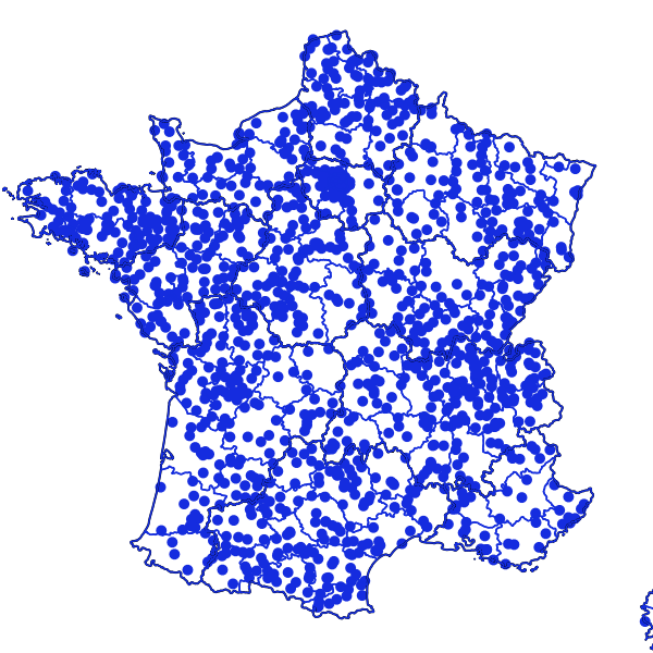 overview